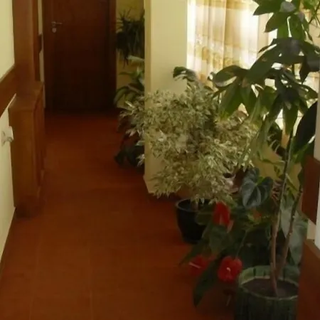 за гости - семейна ивел בנסקו