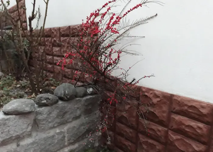 за гости - семейна ивел